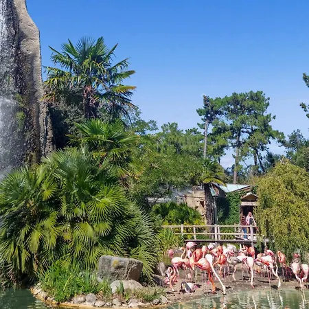 Awesome In With Wi-fi Lägenhet