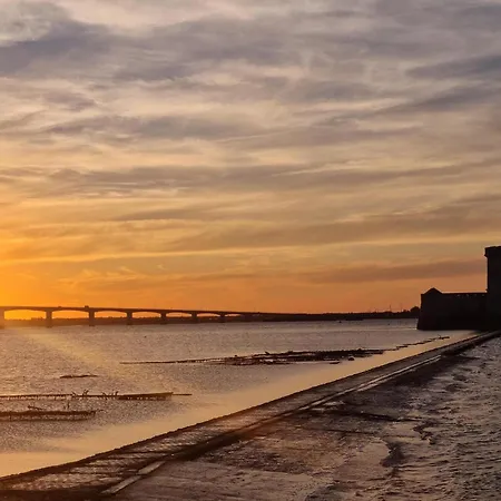 Awesome In With Wi-fi Apartment *