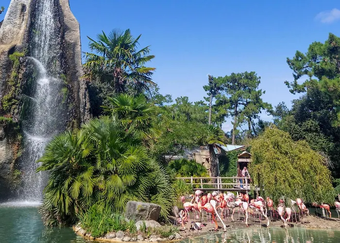 Awesome In With Wi-fi Apartment